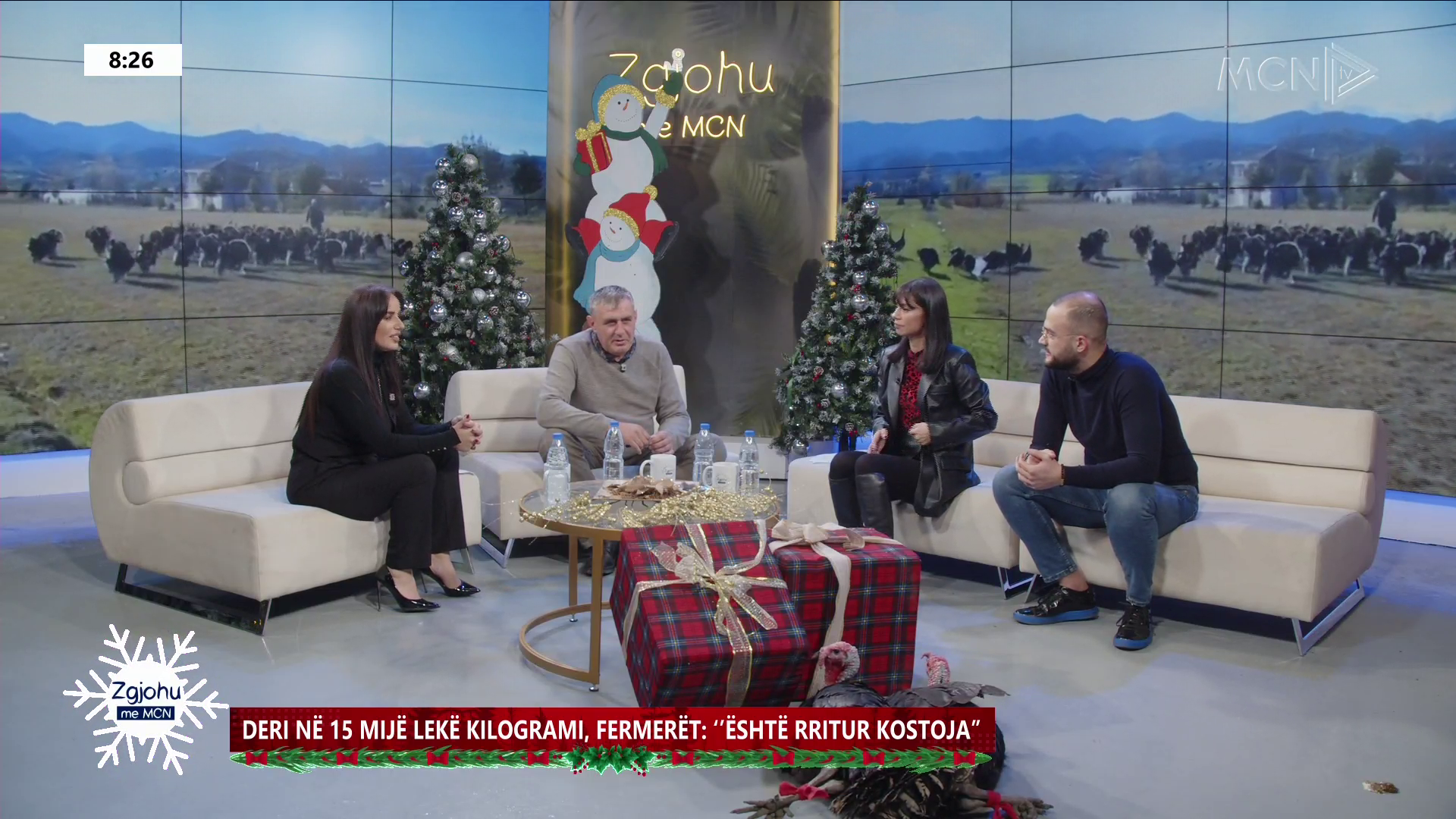 Xheka: Pulat dhe gjelat e detit kanë nevojë për shumë proteina. Sivjet, deri në 15 mijë lekë kilogrami
