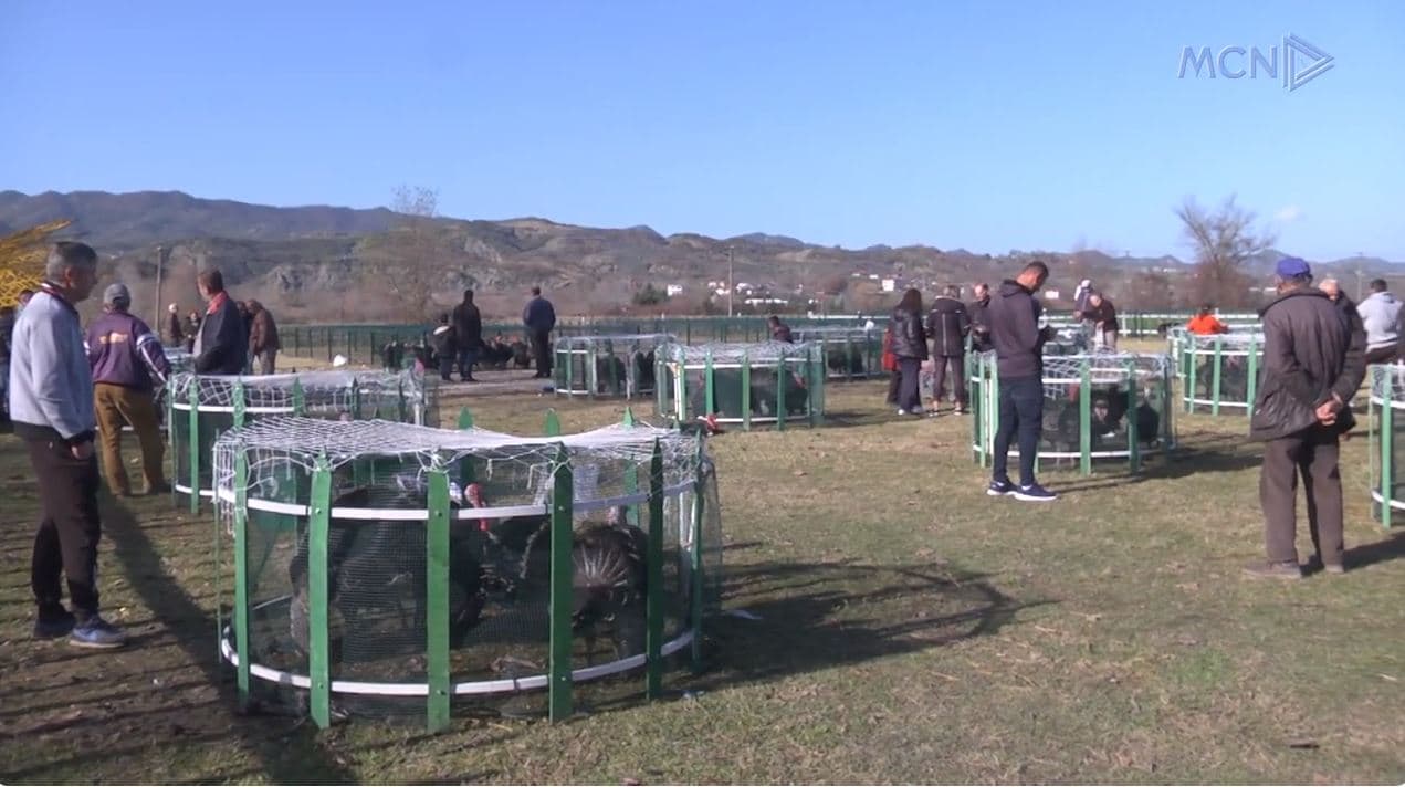Pak tregtarë dhe blerës në tregun e Baldushkut/ Qytetarët: Shkak çmimi i lartë (VIDEO)