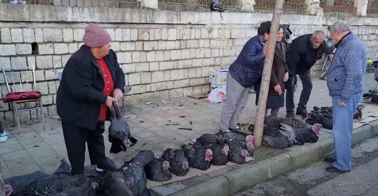 Gjelat e detit mbushin trotuaret. Fermerët i nxjerrin në shitje, s’ka kompromis në çmim