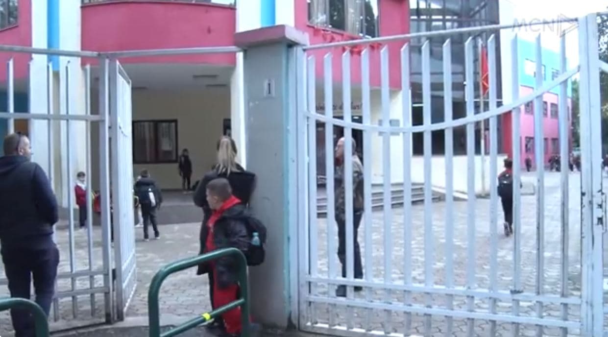 23 kopshte dhe çerdhe me parazitë. Erjona Shehu: Shkak, mungesa e higjienës