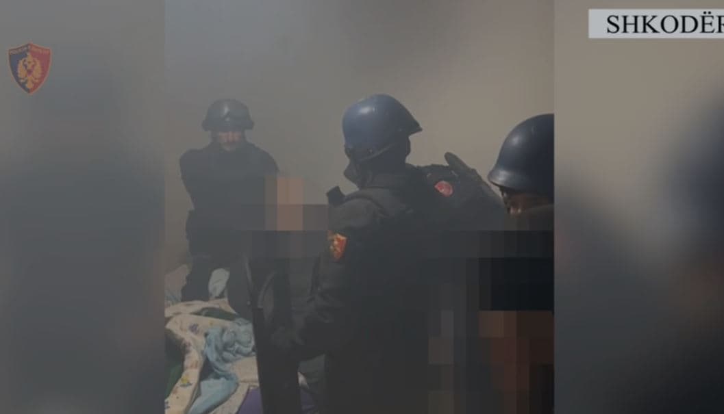 Policia e Shkodrës deklaratë për të shtënat në mesnatë/ Si ndodhi ngjarja që rrezikoi këmbësorë dhe policë