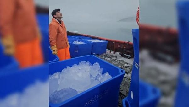Akulli i Greenland eksportohet për të bërë kokteje në Dubai dhe Emiratet e Bashkuara Arabe