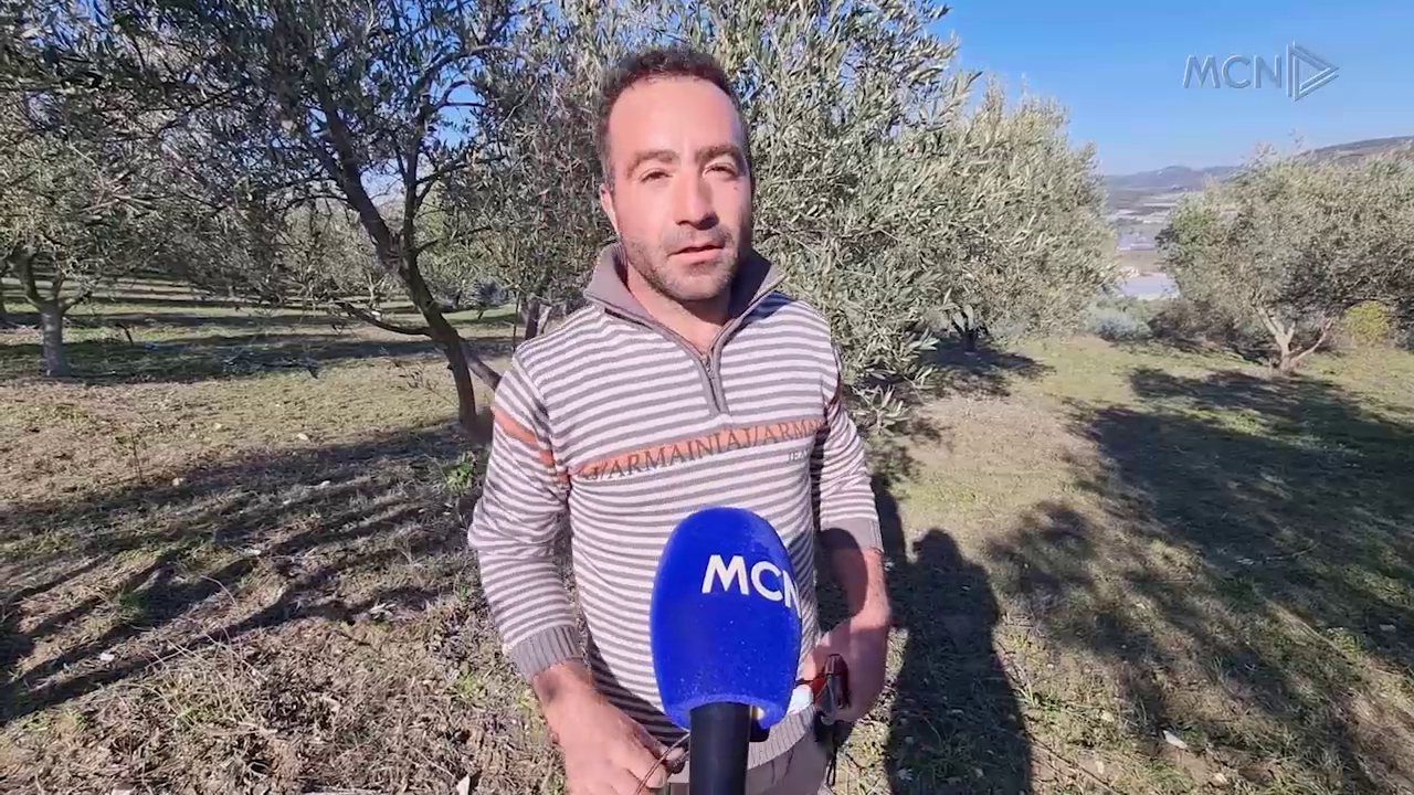 Bujqësia në krizë për punëtorë (VIDEO)