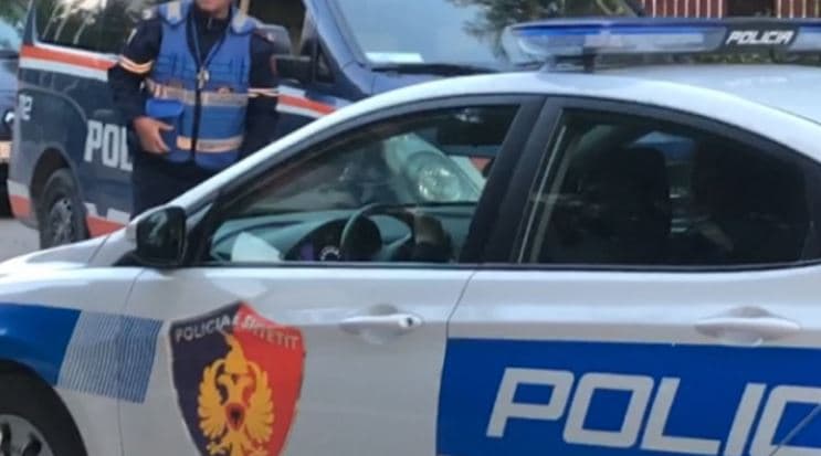 Vodhën një shumë parash në banesën e një shtetaseje, arrestohen dy të rinj në Has
