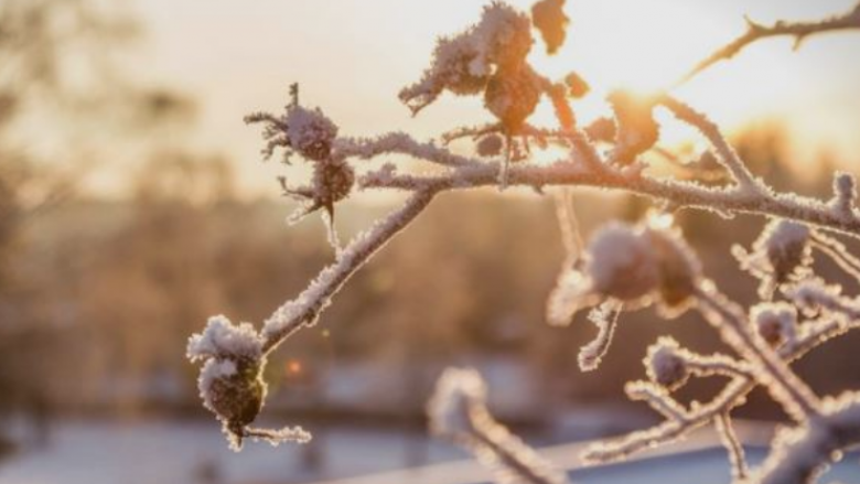Moti sot/ Temperatura të ulëta dhe ngrica