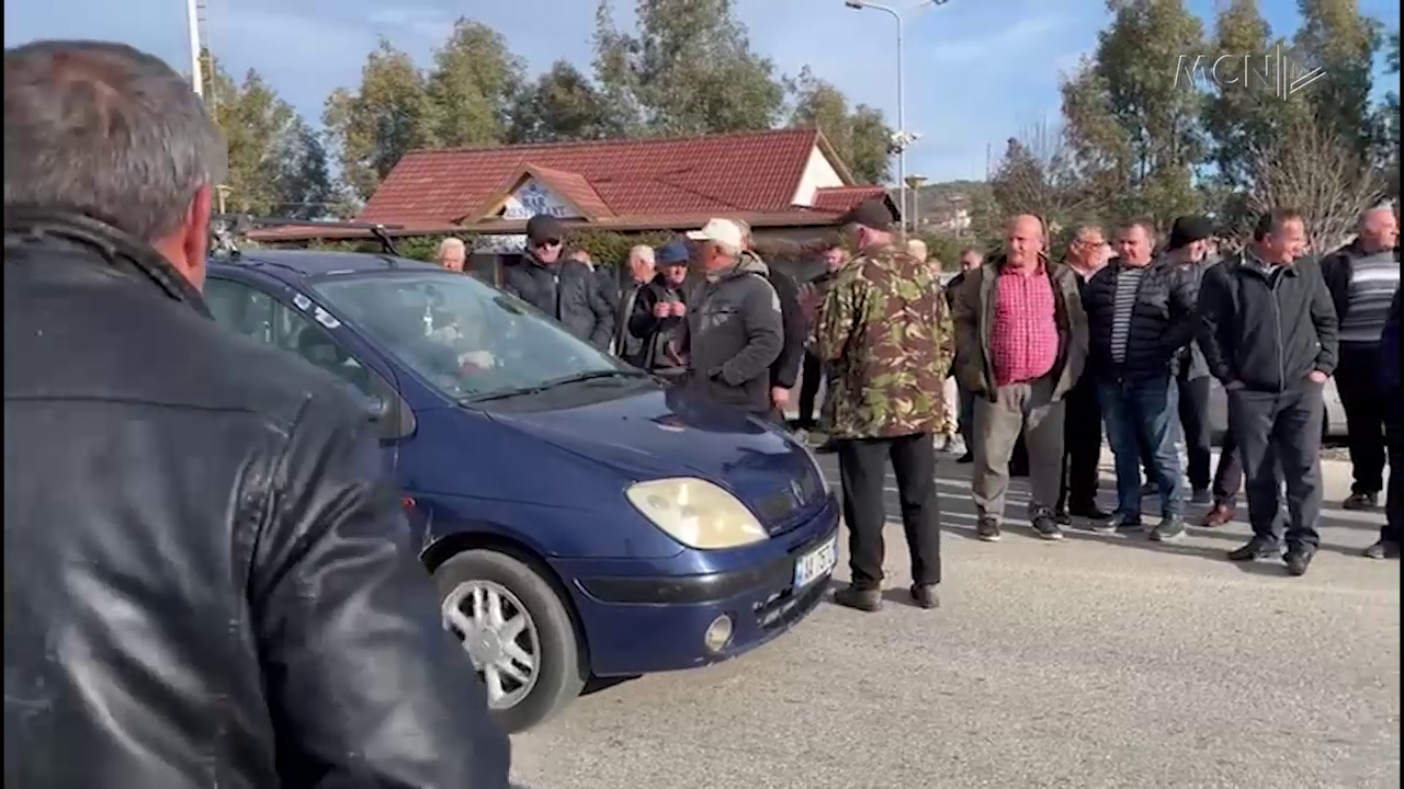 Kundër uljes së çmimit të qumështit / Blegtorët në protestë: Po çojmë tufat me dele në thertore (VIDEO)