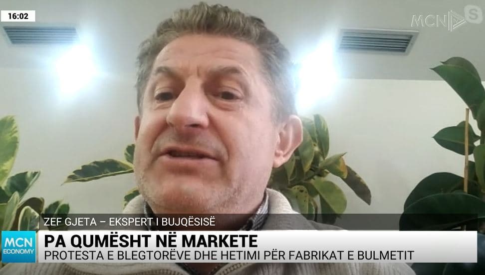 Gjeta: Alarmant numri i gjedhëve dhe të imtave në Shqipëri! Në lokale po hamë mish nga Zelanda e Re 