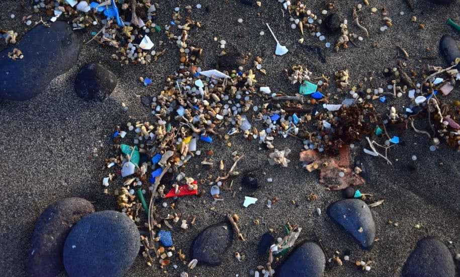 BE do të detyrojë kompanitë kozmetike të paguajnë për të reduktuar ndotjen mikroplastike