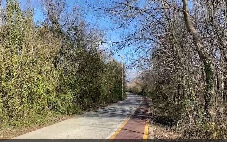 Fondet për pyjet, të pamjaftueshme, Eksperti Imeraj: Të ngrihen struktura për menaxhimin e tyre (VIDEO)