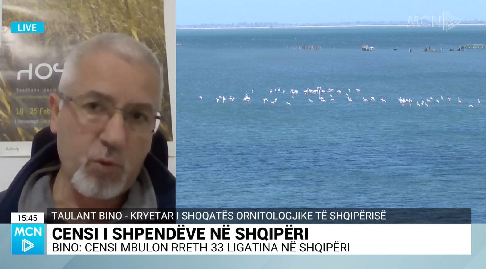 Censi/ Bino: 14 mijë shpendë uji më pak se sa një vit më parë. Aeroporti i Vlorës do sjellë rrezik përplasjesh dhe aksidentesh  (VIDEO)