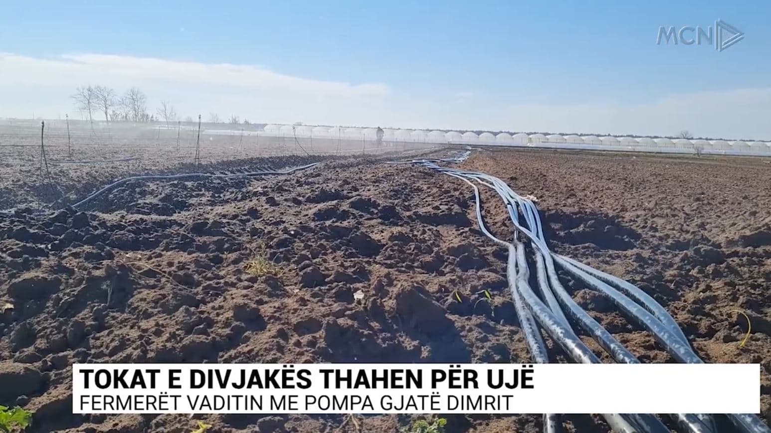 Tokat e Divjakës thahen për ujë/ Fermerët vaditin me pompa gjatë dimrit (VIDEO)