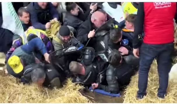 Fermerët francezë të zemëruar hyjnë në panairin e bujqësisë në Paris, përleshen me policinë