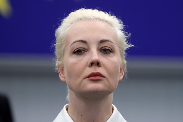 E veja e Navalny: Putini është gangster dhe mafioz