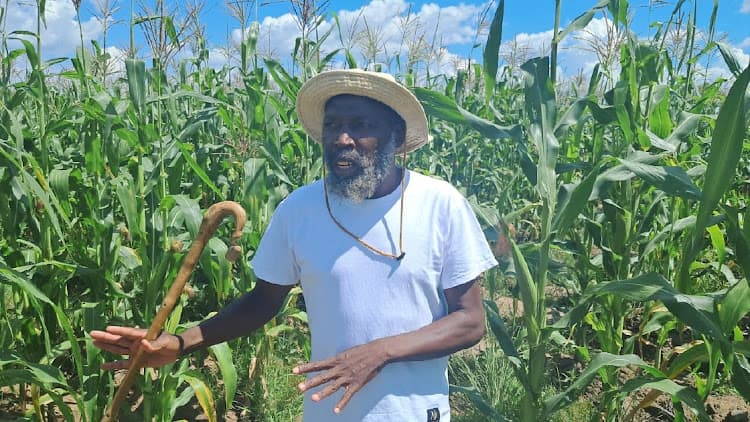 Ferma e tmerreve në Zimbabve, 250 fëmijë të paregjistruar mbahen rob nga një “profet”