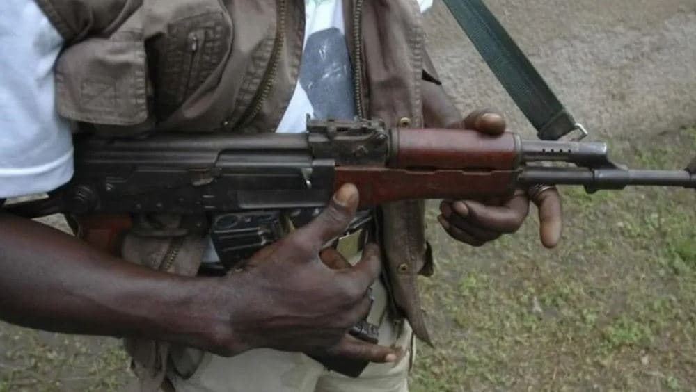 Lirohen nxënësit e rrëmbyer në Nigeri/ Bandat kërkuan 690 mijë dollarë, Presidenti doli garant 