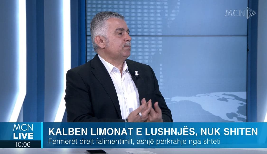 Kalben limonat e Lushnjës/ Pilku: Mungon orientimi nga ministria. Duhet të lidhen fermerët me tregjet (VIDEO)