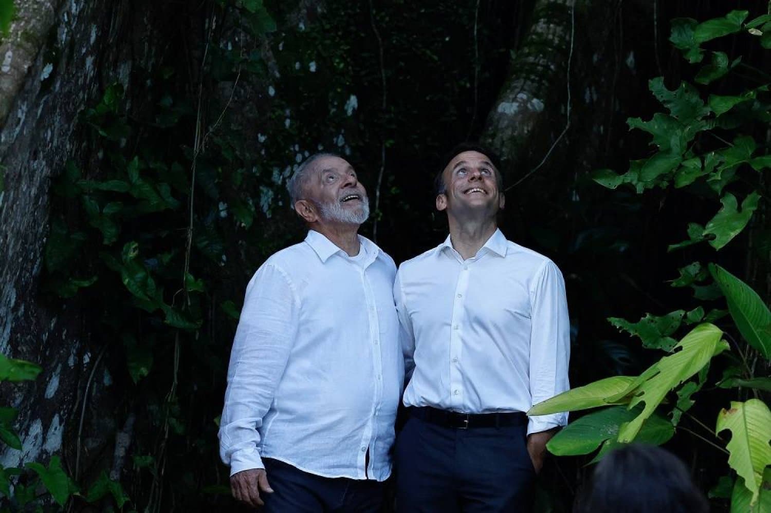 Macron dhe Lula në Amazonë: Një miliardë euro investime për të mbrojtur pyllin