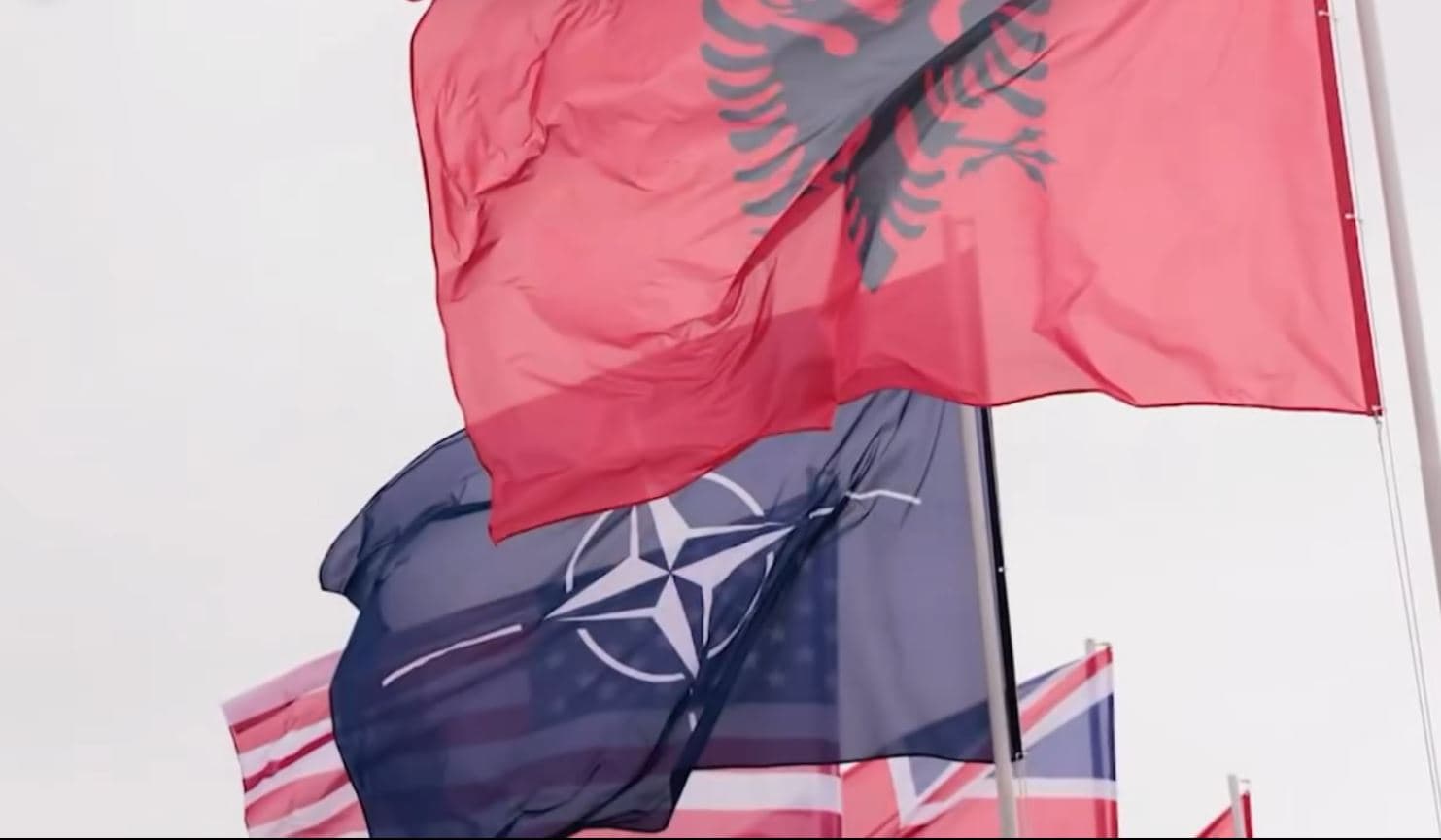 75-vjetori i NATO-s/ Peleshi: Shqipëria e palëkundur për të qenë në krah të aleatëve