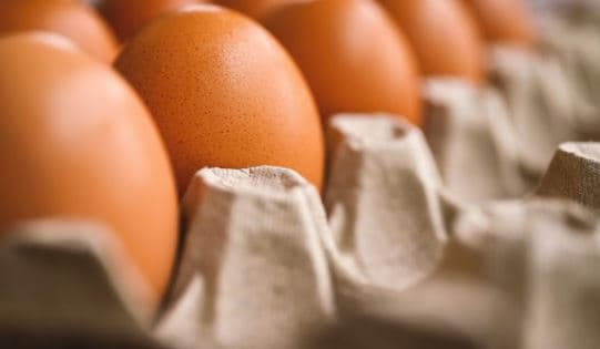 Studimi i ri ‘hedh’ poshtë mitin: Vezët nuk rrisin kolesterolin