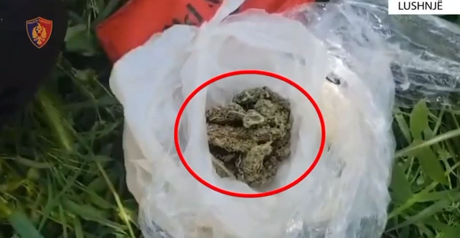Me doza droge gati për shitje, arrestohet 25-vjeçari në Lushnjë