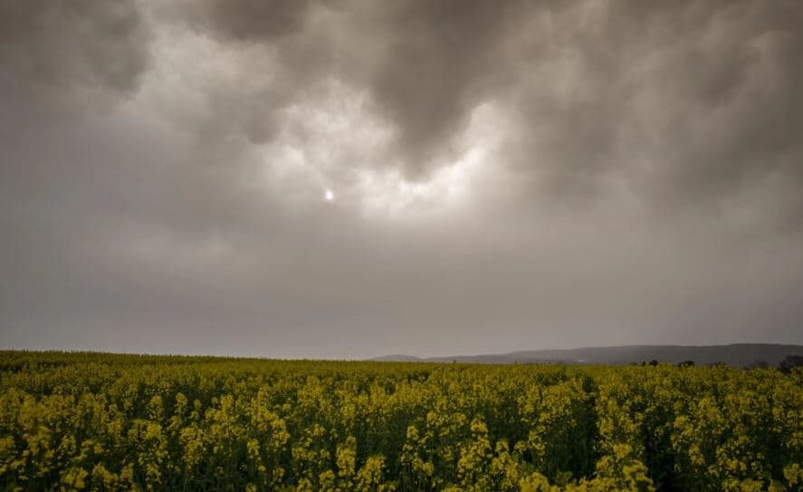 Retë 'e jashtëzakonshme' të pluhurit nga Sahara mbulojnë Europën