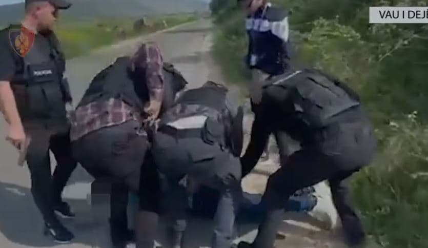 Lëvizte i armatosur me fishekë në fole, arrestohet një person në Vaun e Dejës