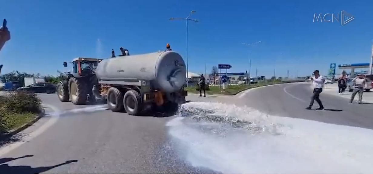 Fabrikat ulin më shumë çmimin e qumështit. Blegtorët: Pas protestës, një litër e marrin me 59 lekë