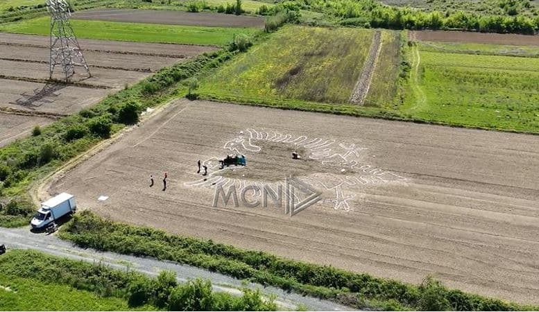 "Kultivoni tokën", Shqiponja me fara orizi në Zadrimë ‘mesazh’ shqiptarëve