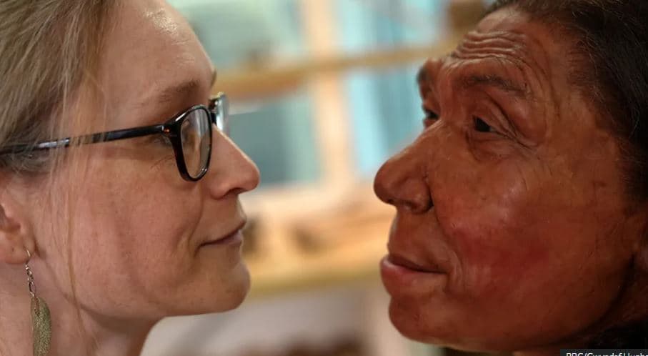 Zbulohet fytyra e gruas së Neandertalit, jetoi 75 mijë vjet më parë