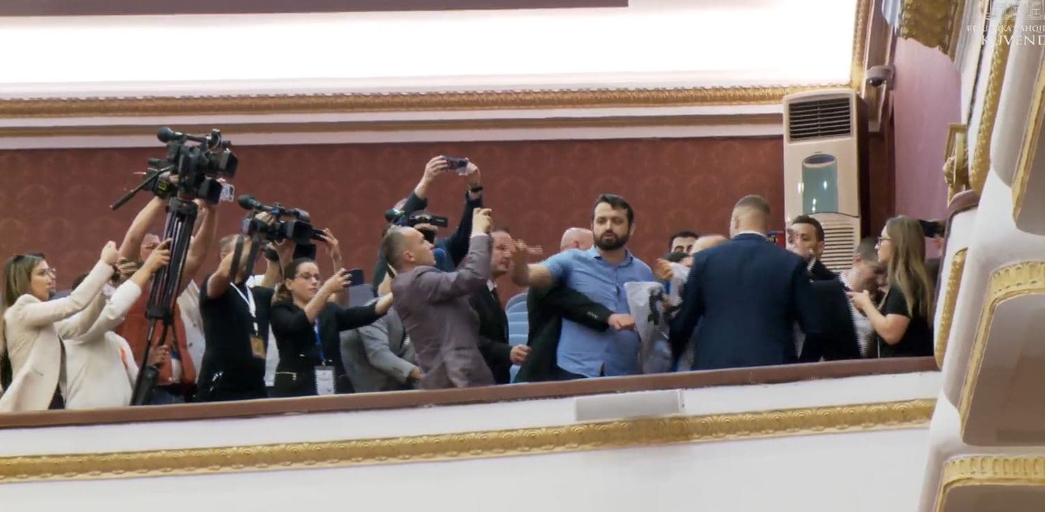 Një grup përfaqësuesish nga Diaspora futen në Kuvend: Duam të votojmë në 2025