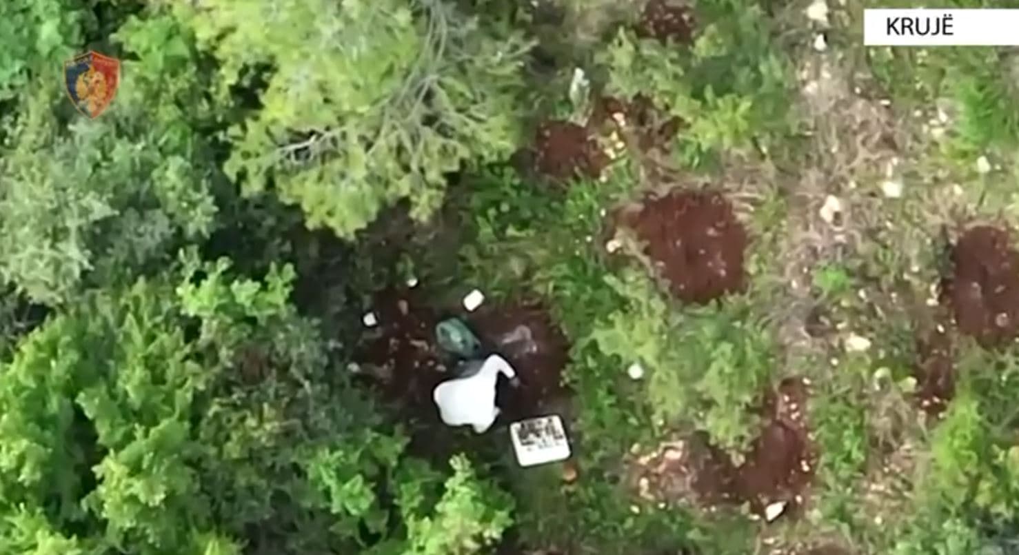 Kultivoi dy parcela me kanabis, arrestohet 39-vjeçari në Krujë