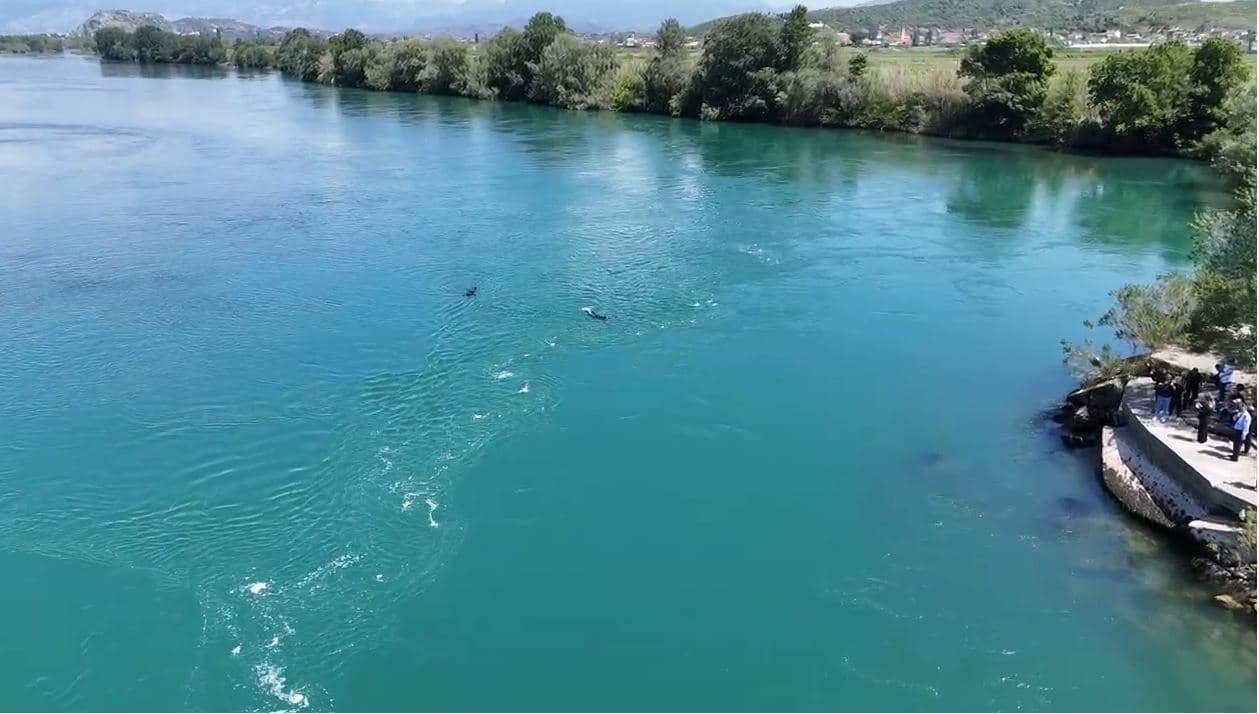 Vazhdojnë kërkimet për gjetjen e trupit të nënës me dy fëmijët/ Palombarët kërkojnë ndihmën e Forcave të Armatosura