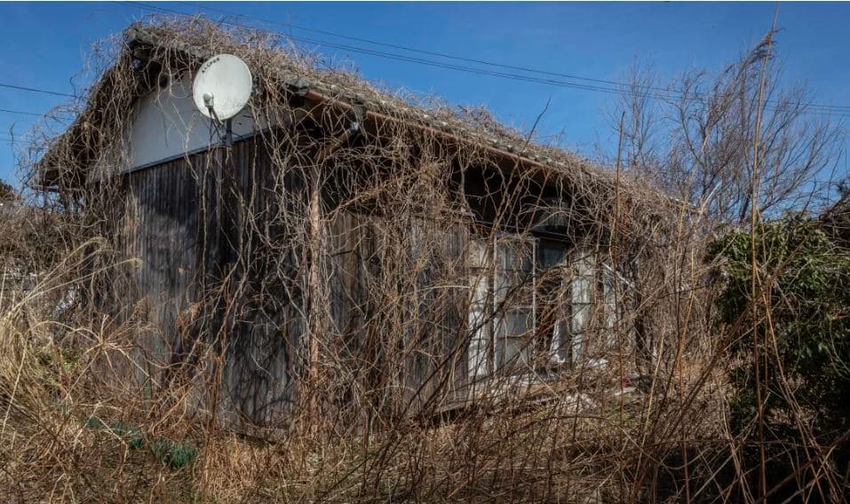 Japonia regjistron nëntë milionë shtëpi pa njerëz, shkak rënia e popullsisë