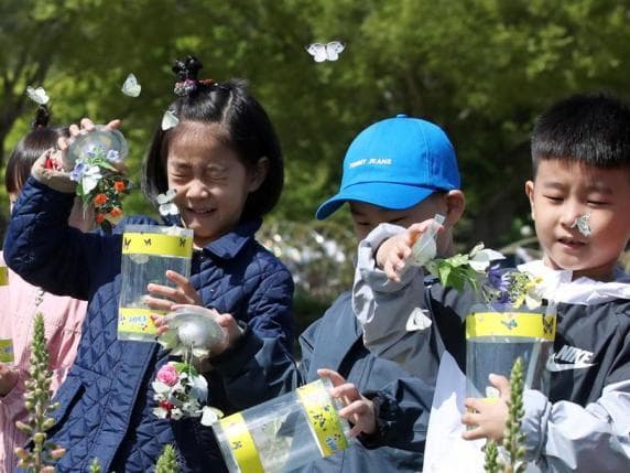 Koreja e Jugut, presidenti kërkon një ministri të re për të luftuar rënien e lindjeve
