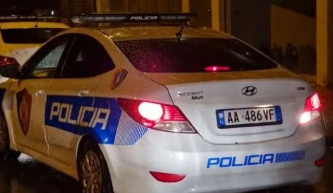 Konflikt për motive pronësie në fshatin Mashkullorë, 93-vjeçari plagos me kallash bashkëfshatarin