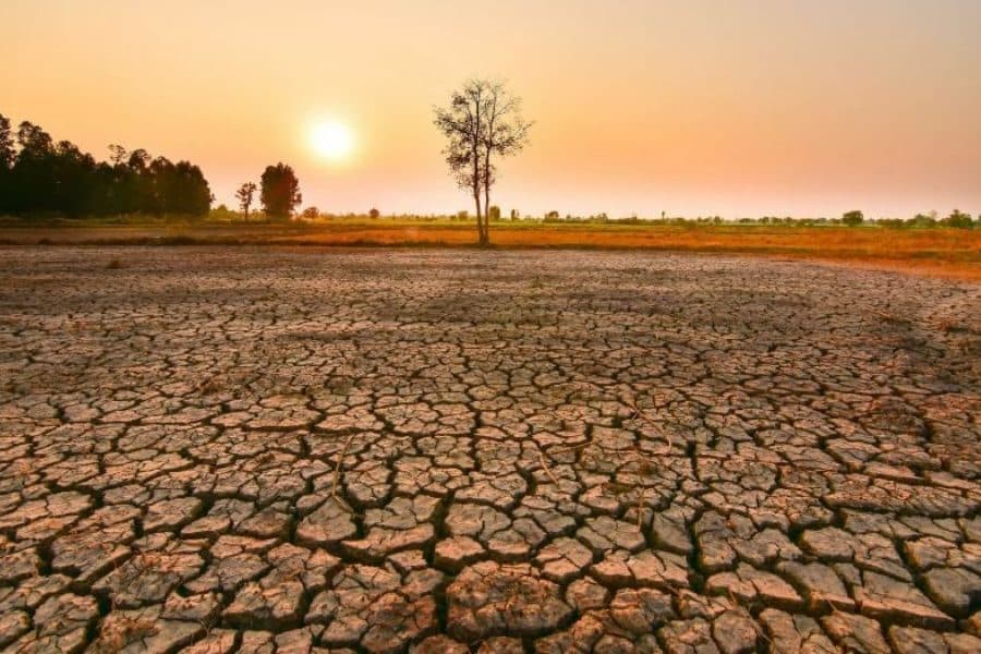 Pritet një verë përvëluese, “El Nino” sjell stuhi dhe temperatura mbi normalen