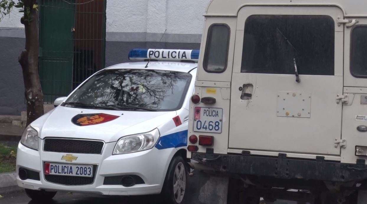 Trafikim narkotikësh dhe vjedhje, ndalohen dy persona në Elbasan