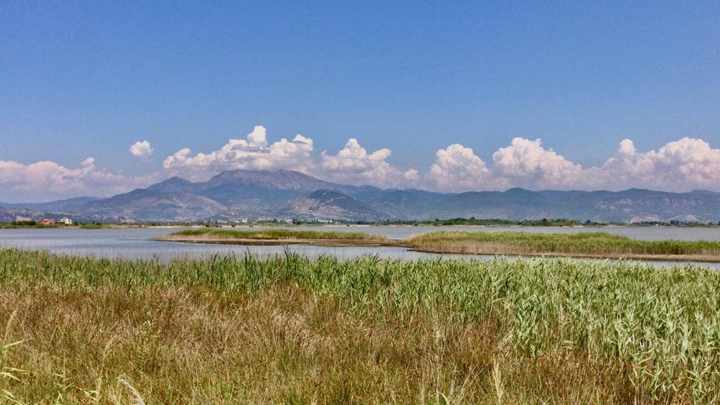 Dëmtimi i zonës së Kune-Vainit, dërgohet për gjykim ish-drejtori i Zonave të Mbrojtura Lezhë dhe 3 të tjerë