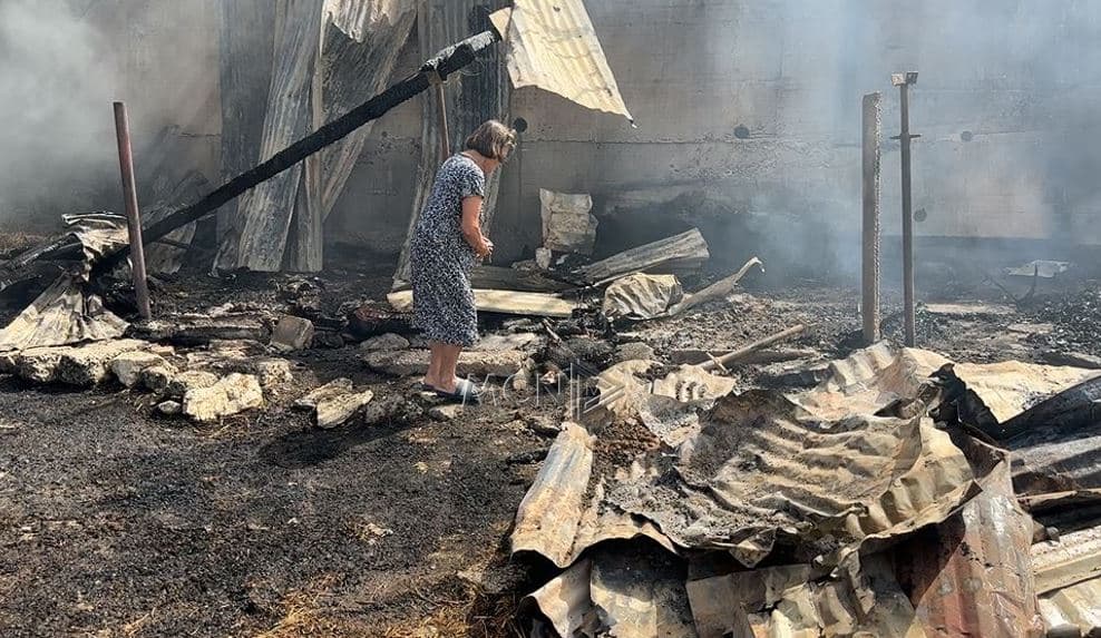  Digjen 11 krerë bagëti në Babicë të Madhe/ Pronarja: Flakët janë të qëllimshme