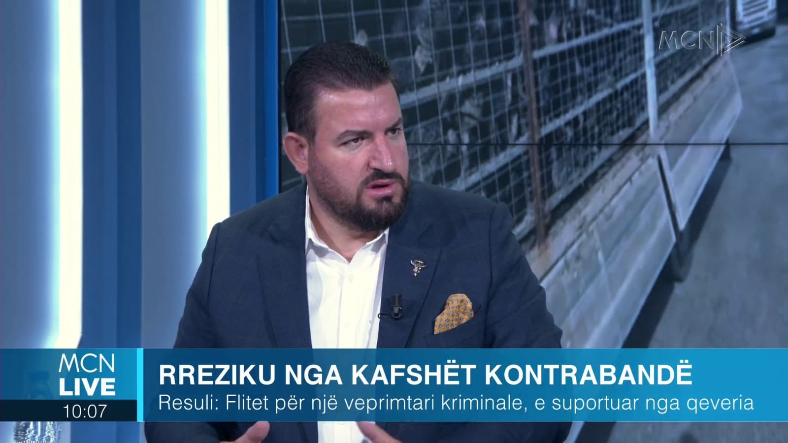 Resuli: Kanë ardhur kafshë me brucelozë, hetimi mbahet i fshehtë. Veprimtari kriminale, e përfshirë ministria e Bujqësisë (VIDEO)
