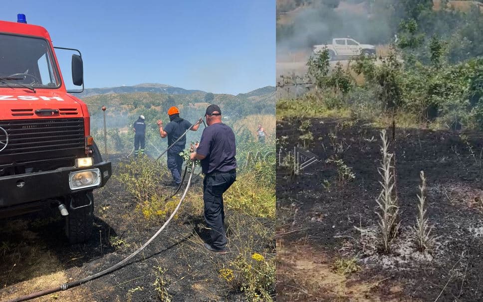 Zjarr i qëllimshëm në një parcelë me ullinj në Gjirokastër, rrezikohet përhapja e flakëve përreth saj