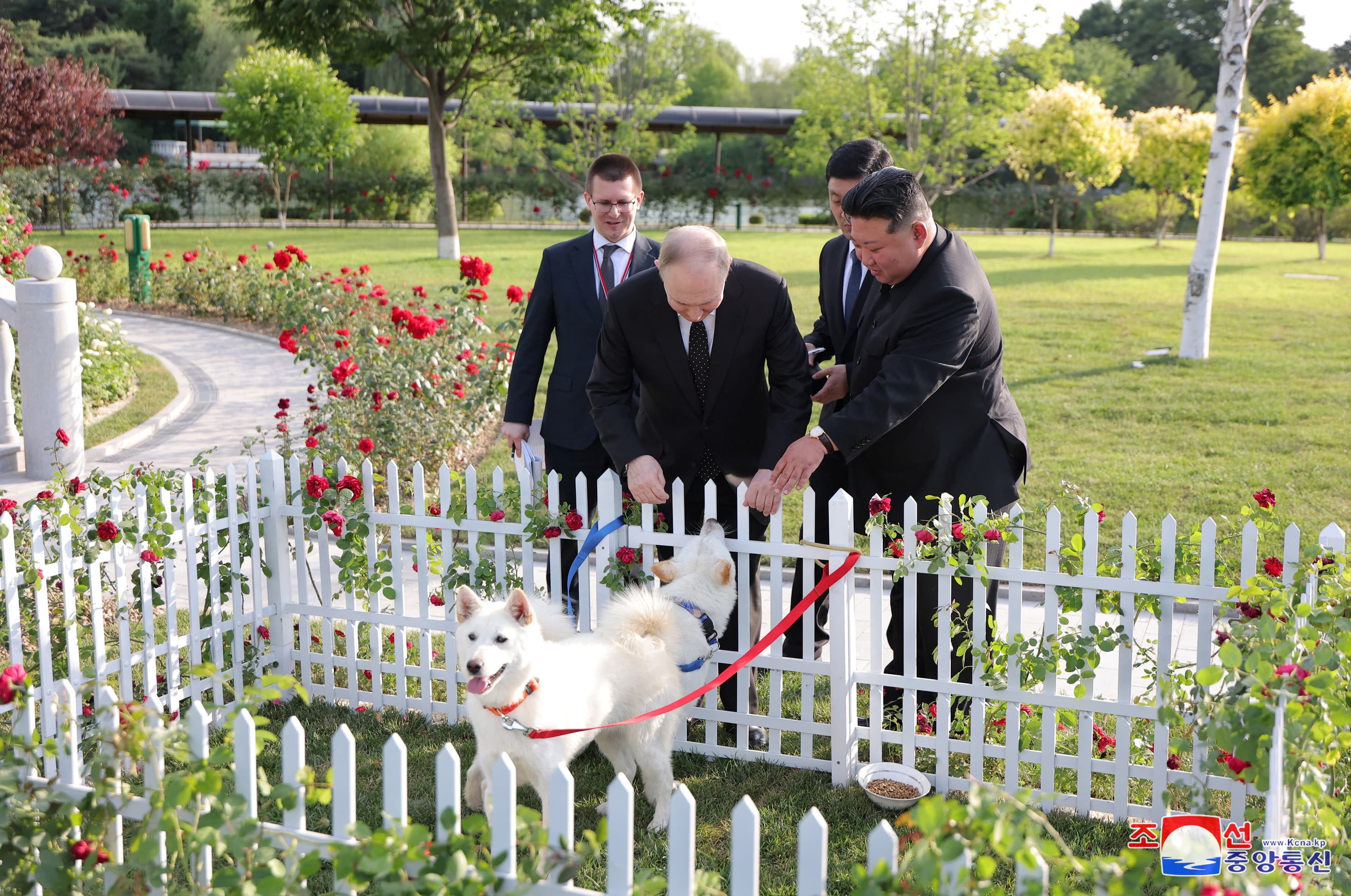 Jong Un i dhuroi Putinit dy qen të një rrace të rrallë, Presidenti rus i fali një limuzinë “Aurus”