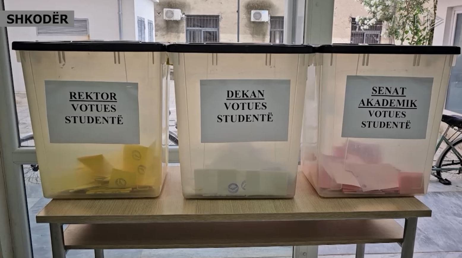 Studentë e pedagogë zgjedhin rektorët/ Votohet në rrethe, pjesëmarrje e ulët në Gjirokastër (VIDEO) 