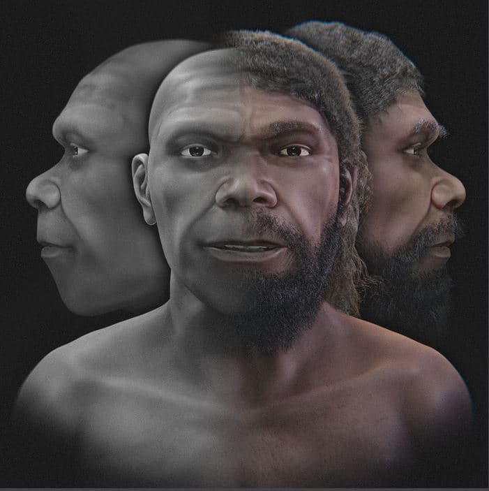 Rindërtohet portreti i Irhoud, Homo Sapiensi më i vjetër