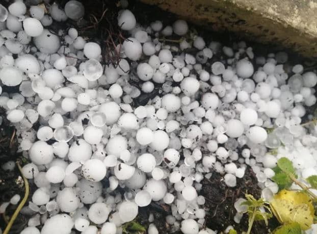 Kolonjë, reshjet e dendura të breshrit shkaktojnë dëme të shumta në të mbjella