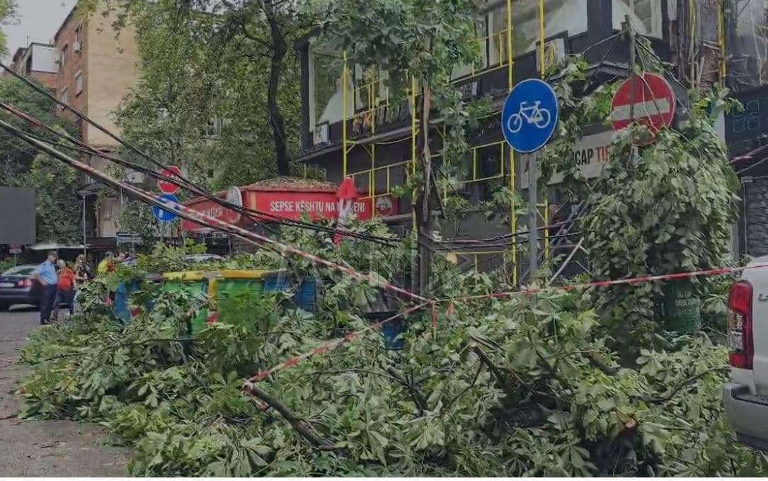 Moti i keq në kryeqytet rrëzon pemët pranë drejtorisë së policisë, dëmtohen linjat elektrike