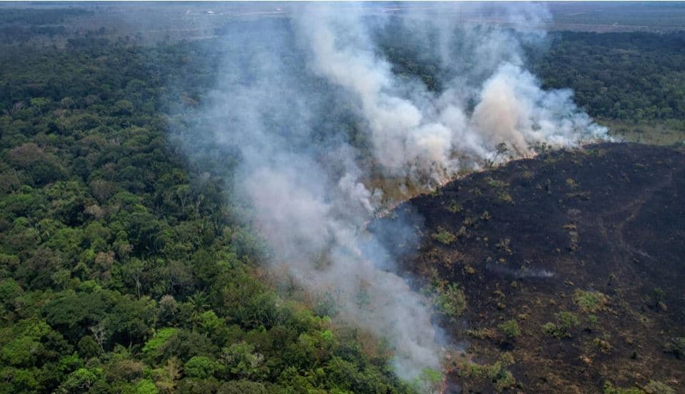 Amazona braziliane regjistron numrin më të madh të vatrave të zjarrit në 20 vitet e fundit