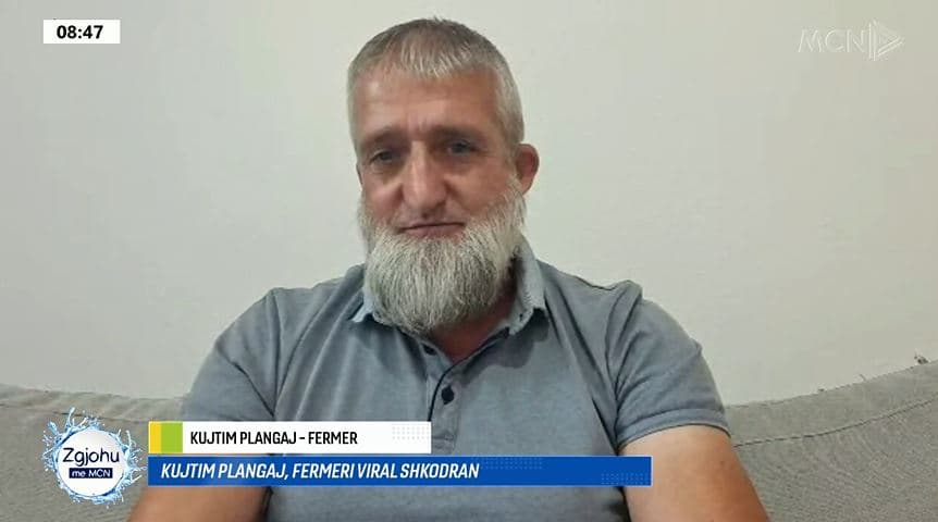 Kultivon qepë dhe synon rekord Guinness/ Plangaj: Do realizoj vargun 110 metër me peshë 1.5 ton