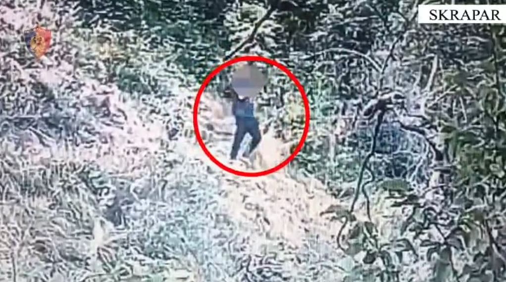 Filmohet duke kultivuar kanabis, arrestohet një person në Skrapar 
