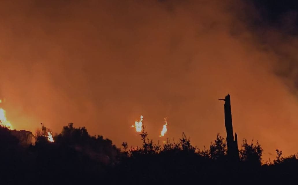 Vlorë/ Shuhet vatra e zjarrit në Qafën e Llogarasë